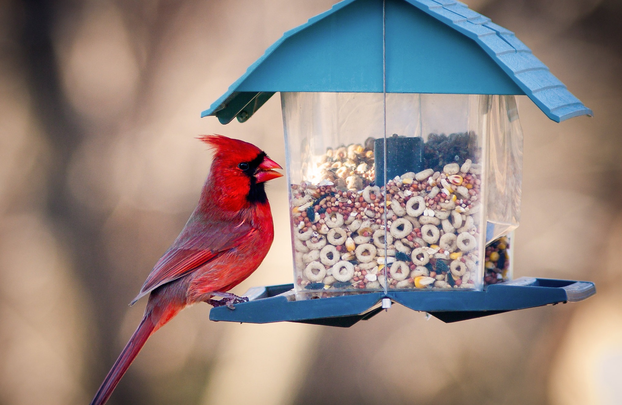 Pet Supplies Verkauf 10 Pet Supplies Verkauf -Pet Supplies Verkauf 8557921820 a7c837915a k