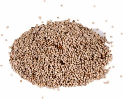 Semences De Perilla Blanc Pour Oiseaux Chanteurs