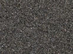 Emma's Garden Graines De Tournesol Striées Pour Oiseaux Du Ciel -Pet Supplies Verkauf lm 160b73ce398c39f506af761d2277d853a921569831917