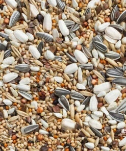 Big Parakeets Prestige Grandes Perruches -Pet Supplies Verkauf lm 173f7e6c85504ce6e82442c770f7c8606f01681823309