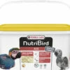 NutriBird A19 Elevage à La Main Pour Aras, Eclectus Et Perroquets Gris Du Gabon