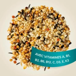 Song Mix, Mix-Chant Pâtée Fortifiante Pour Canaris Et Autres Oiseaux Granivores -Pet Supplies Verkauf lm 221060ad92489947d410d897474079c14771699965932