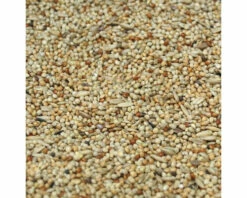 Mélange Graines Pour Perruches 5 Mélange Graines Pour Perruches -Pet Supplies Verkauf lm 276db8e1af0cb3aca1ae2d00186242045291687176529