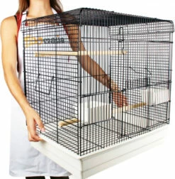 Cage Pour Oiseaux Exotiques Et Canaris Zolia Téoss - H 61 Cm -Pet Supplies Verkauf lm 28616a5cdae362b8d27a1d8f8c7b78b43301499435266