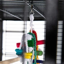 Jouet Pour Perruches Zolia - 63 Cm -Pet Supplies Verkauf lm 299ef0d3930a7b6c95bd2b32ed45989c61f1647606766