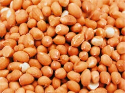 Arachides Décortiquées Pour Grand Perroquet