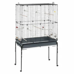 Cage Planeta - 173,5cm