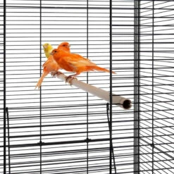 Cage Planeta - 173,5cm -Pet Supplies Verkauf lm 3119dfcd5e558dfa04aaf37f137a1d9d3e51688991865