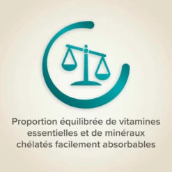 Song Mix, Mix-Chant Pâtée Fortifiante Pour Canaris Et Autres Oiseaux Granivores -Pet Supplies Verkauf lm 321caf1a3dfb505ffed0d024130f58c5cfa1699965933