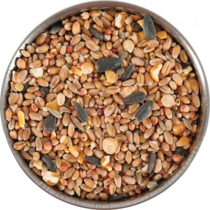 Zolux Sac De Graines Oiseaux Du Ciel - 12kg 3 Zolux Sac De Graines Oiseaux Du Ciel - 12kg - Afbeelding 3