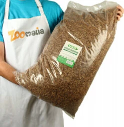 IAKO Vers De Farine Friandises Naturelles Pour Poules, Oiseaux Et Rongeurs - 400g Ou 5kg -Pet Supplies Verkauf lm 3490bb4aec1710521c12ee76289d94408171597742571