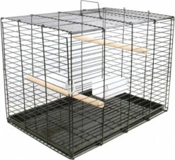 Cage De Transport Pour Perroquet Zolia Rumba - H 40 Cm
