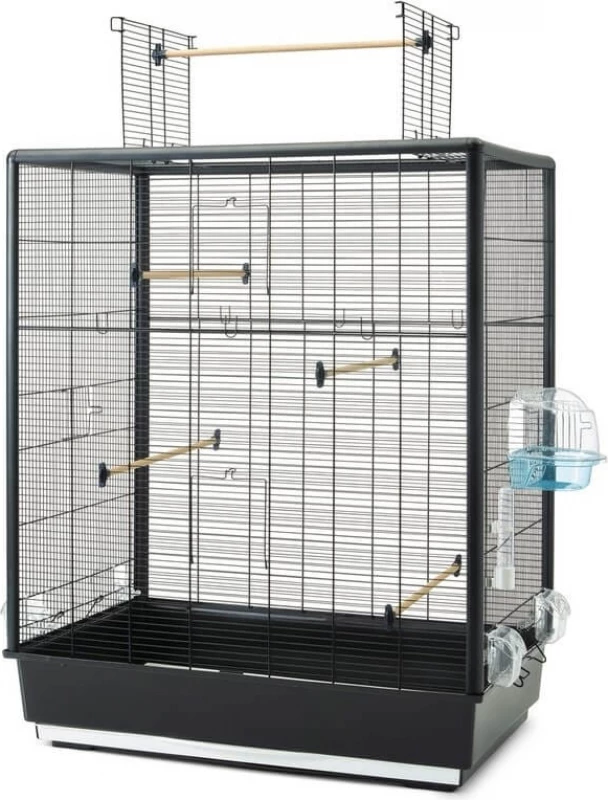 Cage Primo 60 OPEN EMPIRE Knock Down - H115cm 1 Cage Primo 60 OPEN EMPIRE Knock Down - H115cm