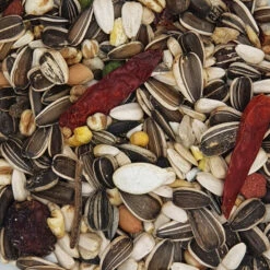 Prestige Loro Parque Ara Parrot Mix -Pet Supplies Verkauf lm 374ad972f10e0800b49d76fed33a21f66981686056051