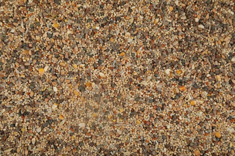 Zolux Nutrimeal Alimentation Pour Tourterelle 3 Zolux Nutrimeal Alimentation Pour Tourterelle - Afbeelding 3