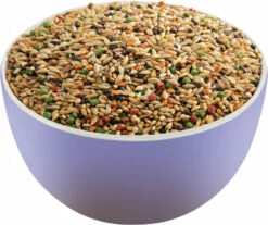 Versele Laga Premium Prestige Triumph Pour Pinsons De Concours -Pet Supplies Verkauf lm 3824f6ffe13a5d75b2d6a3923922b3922e51682687766