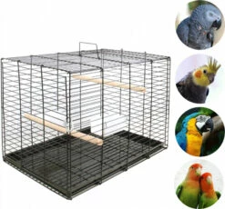 Cage De Transport Pour Perroquet Zolia Rumba - H 40 Cm -Pet Supplies Verkauf lm 3840584ce565c824b7b7f50282d9a19945b1572862726