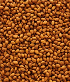 NutriBird G14 Original Entretien Pour Grandes Perruches -Pet Supplies Verkauf lm 4080d0fd7c6e093f7b804fa0150b875b8681681209057