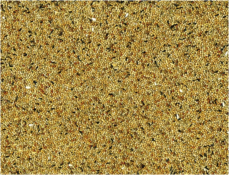 Mélange Graines Perruches Original 4 Mélange Graines Perruches Original - Afbeelding 4