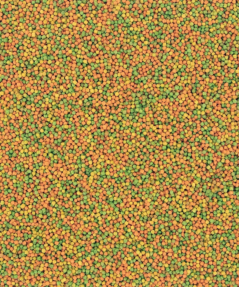 NutriBird B14 Entretien Pour Perruches 3 NutriBird B14 Entretien Pour Perruches - Afbeelding 3