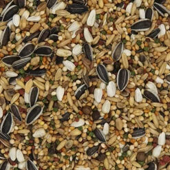 Versele Laga Prestige Australian Parakeet Loro Parque Mix Pour Perruches Australiennes -Pet Supplies Verkauf lm 483e1e32e235eee1f970470a3a6658dfdd51681821881