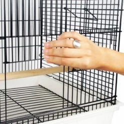 Cage Pour Oiseaux Exotiques Et Canaris Zolia Téoss - H 61 Cm -Pet Supplies Verkauf lm 48642e92efb79421734881b53e1e1b18b61499435200