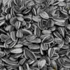 Petites Graines De Tournesol Striées Pour Oiseaux