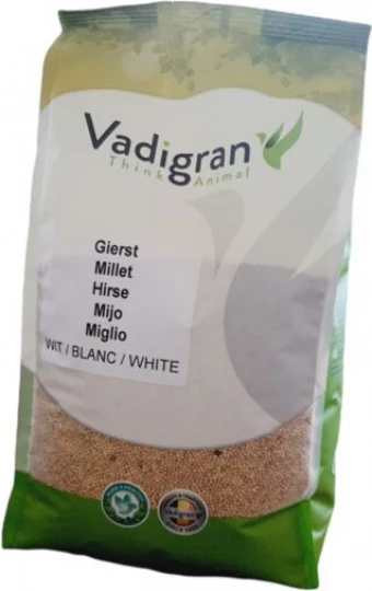 Millet Rond Blanc Pour Oiseaux 2 Millet Rond Blanc Pour Oiseaux - Afbeelding 2