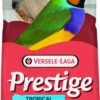 Prestige Oiseaux Exotiques Pour Diamants Australiens