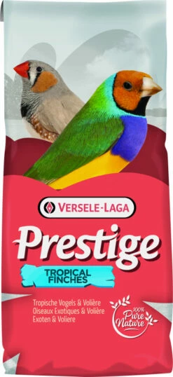 Prestige Oiseaux Exotiques Pour Diamants Australiens