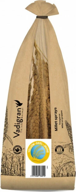Millet Jaune Vadigran En Grappe Produit En France