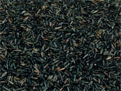 Graines De Niger Pour Oiseaux Vadigran