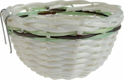 Nid Canaris Rotin Nu