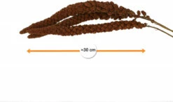 IAKO Millet Rouge Production Française - 500 Gr -Pet Supplies Verkauf lm 6455e9f92a01c986bafcabbafd145520b131580372264