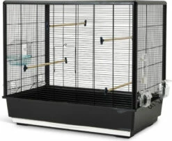 Cage Savic Primo 60 Knock Down Noire - H70cm
