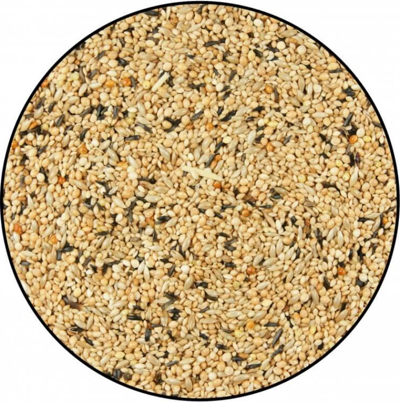 Mélange De Graines Pour Oiseaux Exotiques 1 Mélange De Graines Pour Oiseaux Exotiques