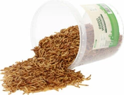 IAKO Vers De Farine Friandises Naturelles Pour Poules, Oiseaux Et Rongeurs - 400g Ou 5kg -Pet Supplies Verkauf lm 6740d7de1aca9299fe63f3e0041f02638a31597742536