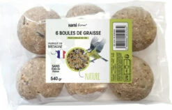 Lots De Boules De Graisse Pour Oiseaux De La Nature