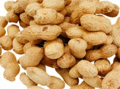 Arachides Pour Perroquet