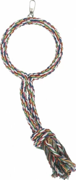 Balançoire Pour Perroquet