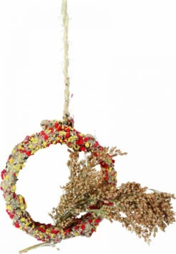 Anneau Avec Millet En Grappes Pour Oiseaux Native Snacks