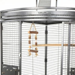 Balançoire En Bois Pour Oiseaux Zolia 5 Balançoire En Bois Pour Oiseaux Zolia -Pet Supplies Verkauf lm 7455f0f5e5f33945135b874349cfbed4fb91594823260