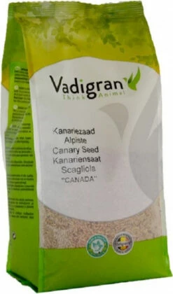 Graines D'alpiste Pour Oiseaux