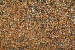 Zolux Nutrimeal Alimentation Pour Grande Perruche 7 Zolux Nutrimeal Alimentation Pour Grande Perruche -Pet Supplies Verkauf lm 7645807a685d1a9ab3b599035bc566ce2b91637855009