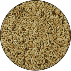 Graines Alpiste GASCO 5 Graines Alpiste GASCO -Pet Supplies Verkauf lm 79928267ab848bcf807b2ed53c3a8f8fc8a1414569150