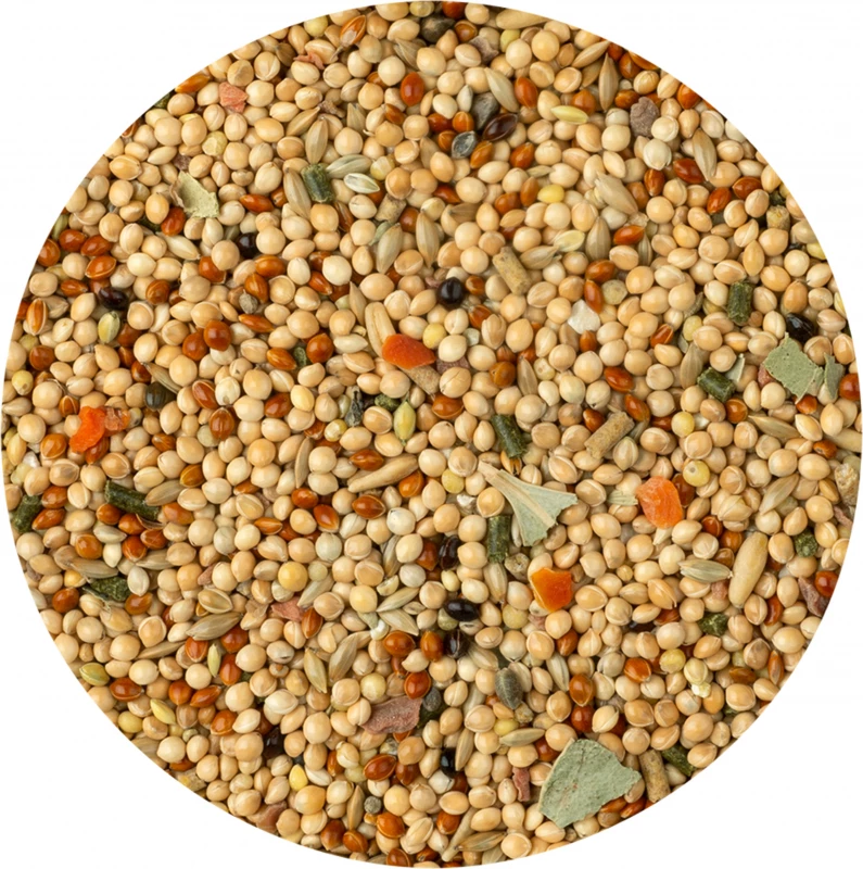 Menu Super Premium Perruches En Sachet Fraîcheur 2 Menu Super Premium Perruches En Sachet Fraîcheur - Afbeelding 2