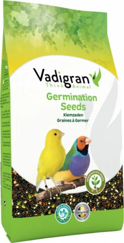 Graines à Germer ORIGINAL