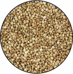 Chènevis Pour Oiseaux Du Ciel