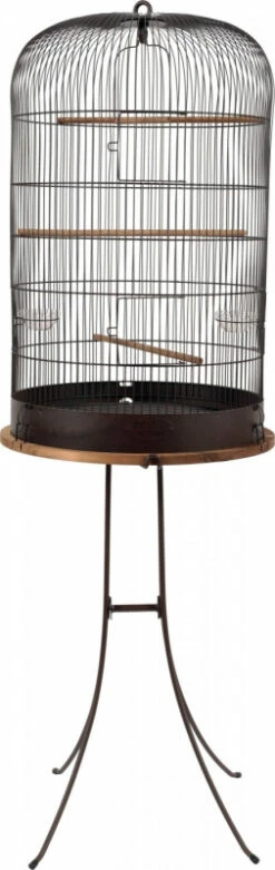 Cage Oiseau Rétro Lisette - H55cm -Pet Supplies Verkauf lm 866ca8155f4d27f205953f9d3d7974bdd701538468556