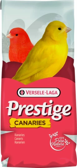 Prestige Canaris Elevage Sans Navette Extra